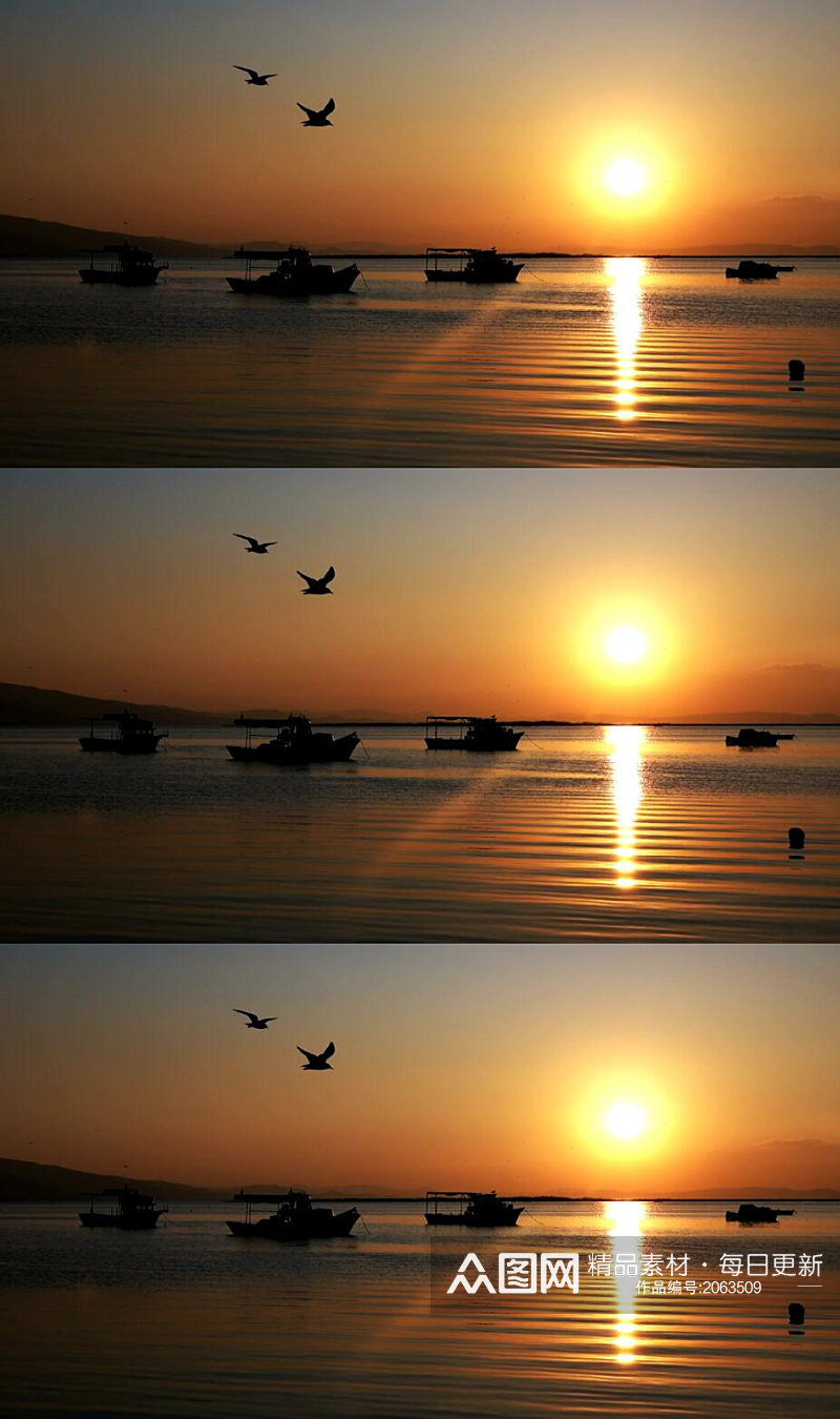 日落夕阳下大海上的渔船海鸥美景实拍视频素材