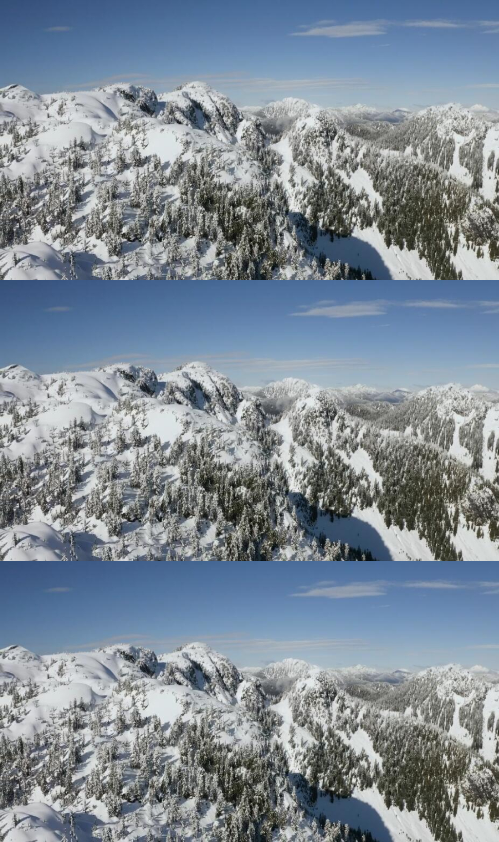 航拍雪山山脉上松林景观实拍视频素材