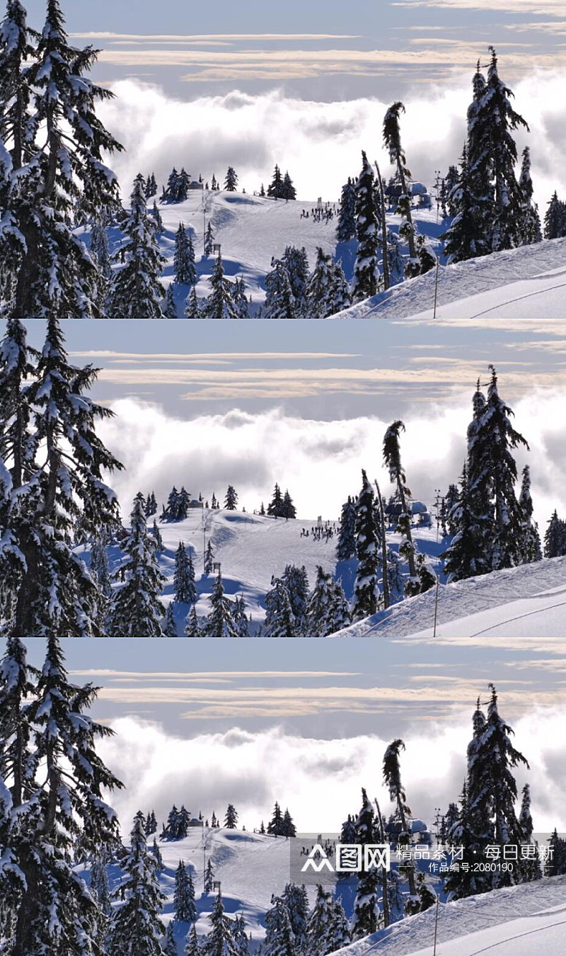 白雪覆盖的山顶松树林实拍视频素材