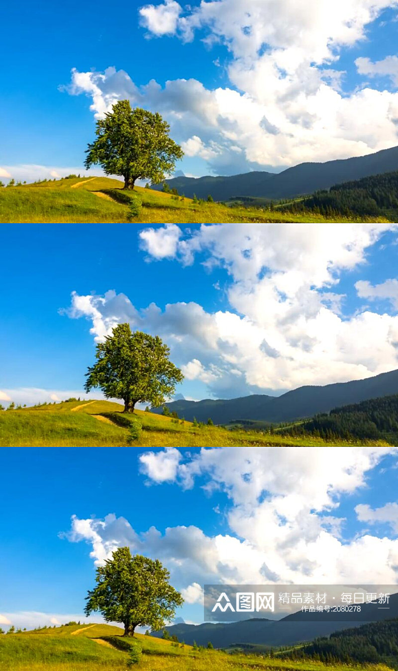 延时摄影蓝天白云下草地上树木奶牛美景实拍素材