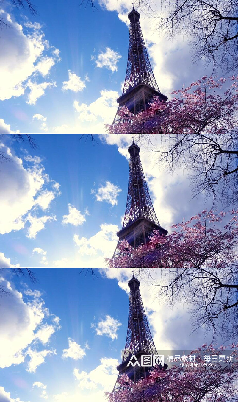 埃菲尔铁塔和樱花树实拍视频素材