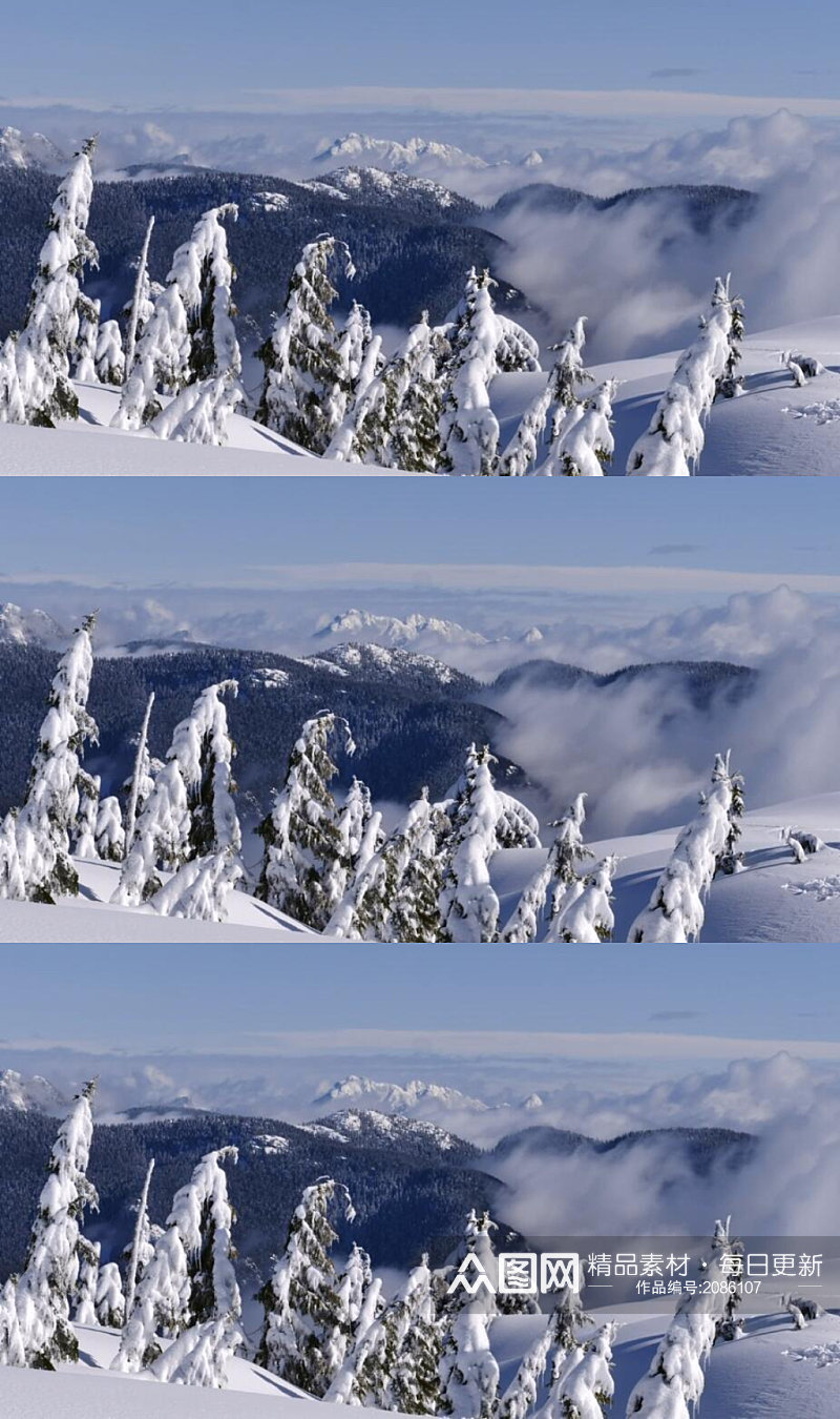 冬季山脉顶上厚厚的积雪下的松树美景实拍素材