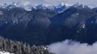 雪山山脉上的松树林风景实拍视频-众图网
