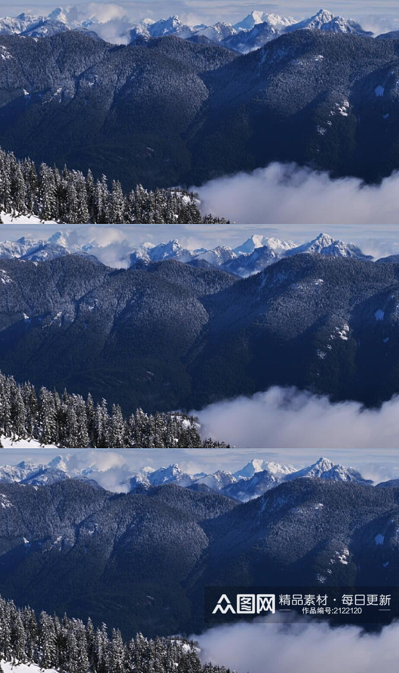 雪山山脉上的松树林风景实拍视频素材