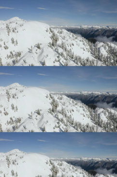 航拍雪山山顶上的松树林风景实拍