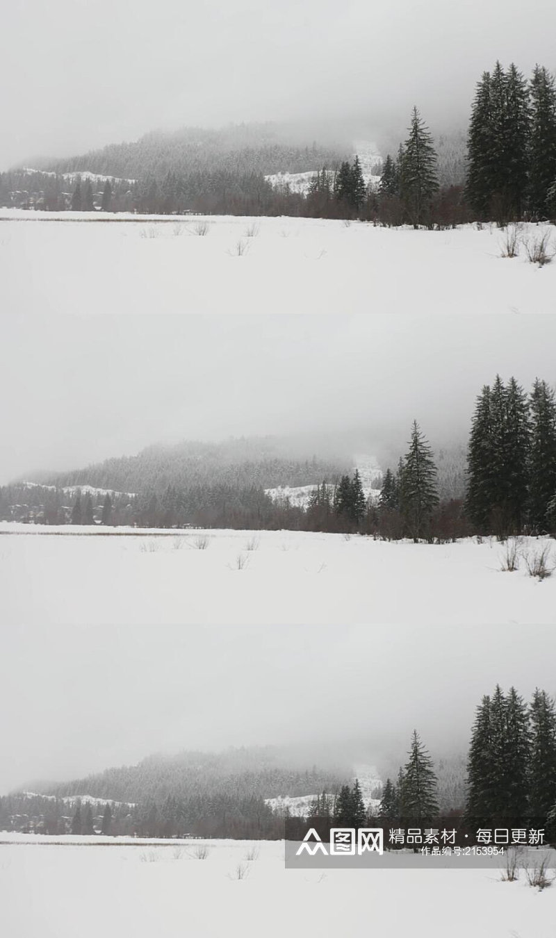 航拍冬天大雪覆盖松林美景实拍素材素材