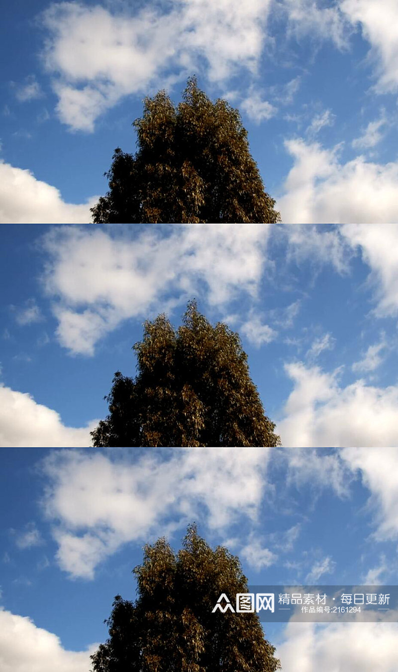 延时摄影蓝天白云下的树木美景实拍素材