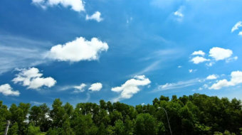 延时摄影蓝天白云下的树林实拍 风景视频-众图网