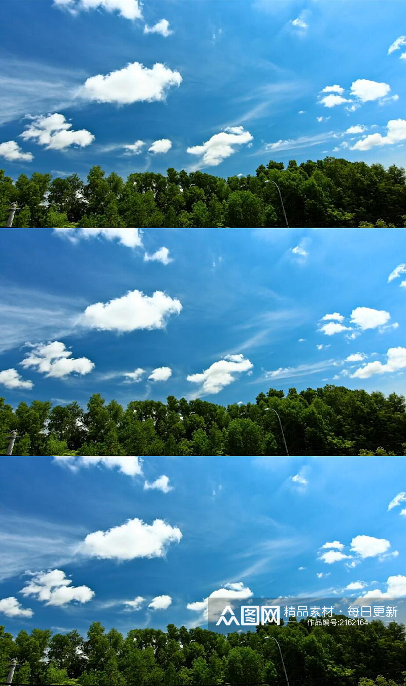 延时摄影蓝天白云下的树林实拍 风景视频素材