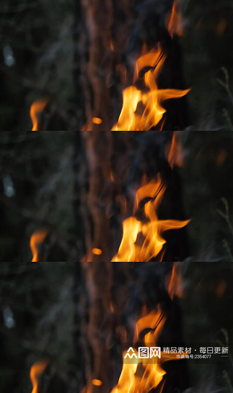森林火焰燃烧特写实拍视频素材