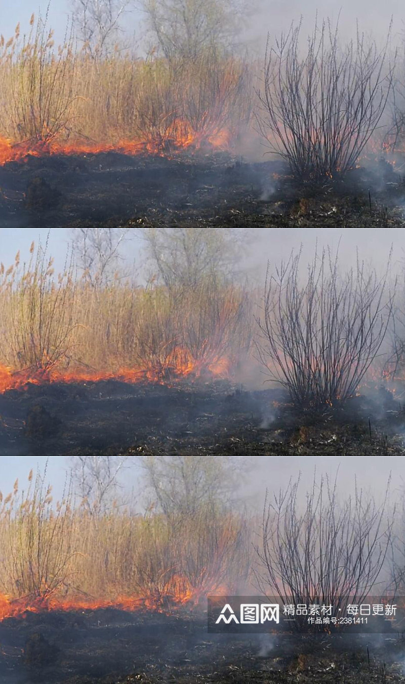 草原森林大火实拍视频素材