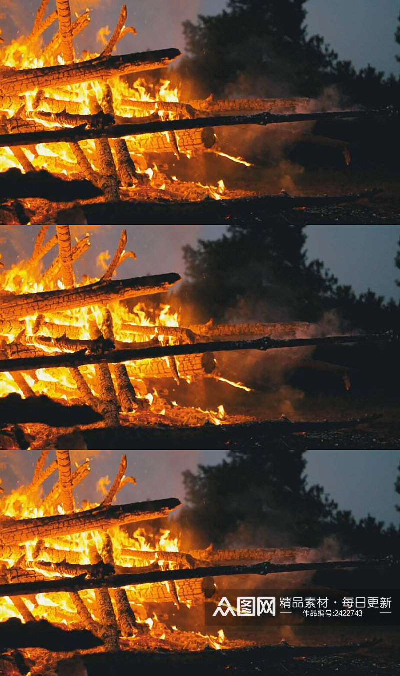 木柴在森林里燃烧的火焰实拍视频素材