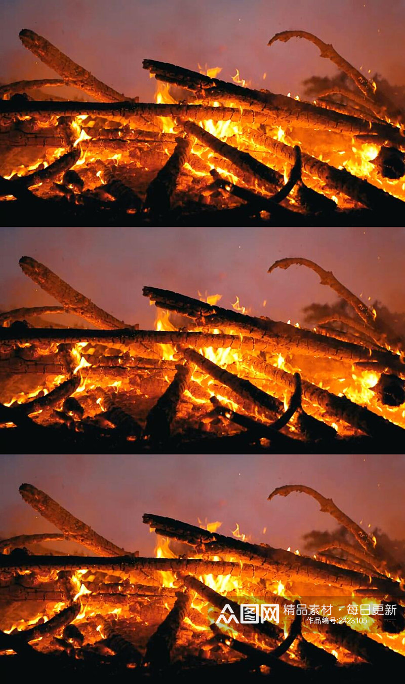 夜间树木燃烧的火焰实拍视频素材