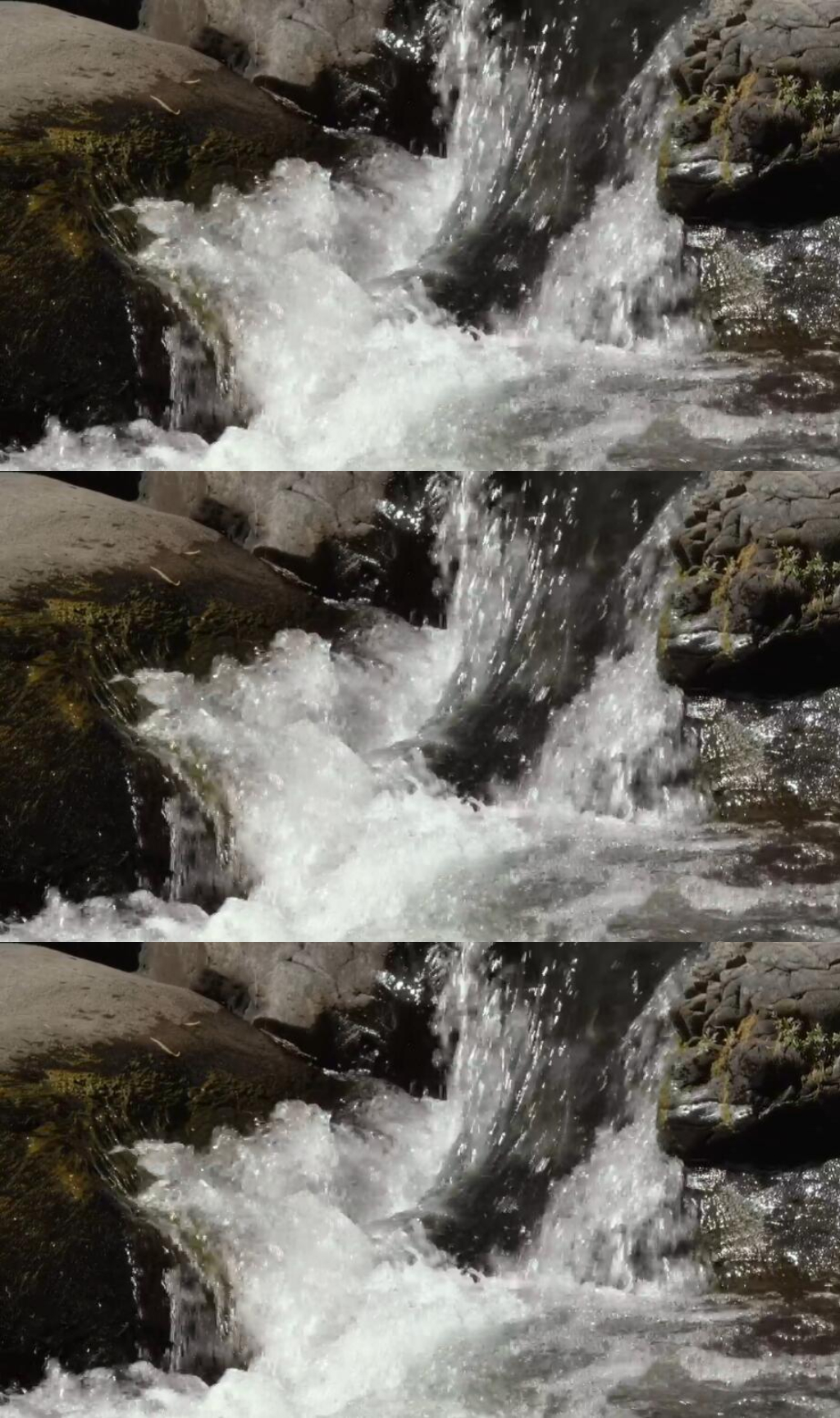 森林里岩石河流水涧实拍视频素材