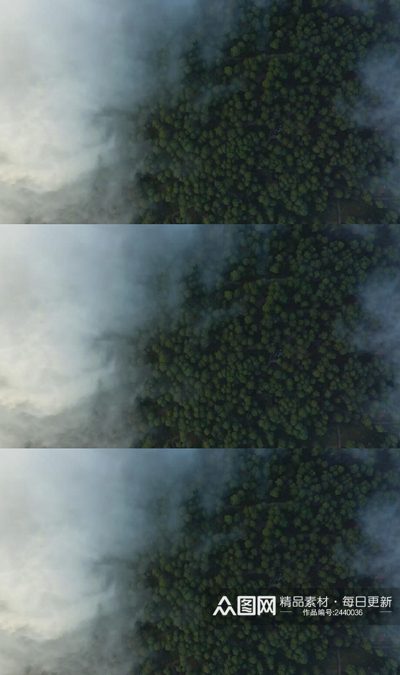 高空航拍云雾下的茂密森林实拍视频素材