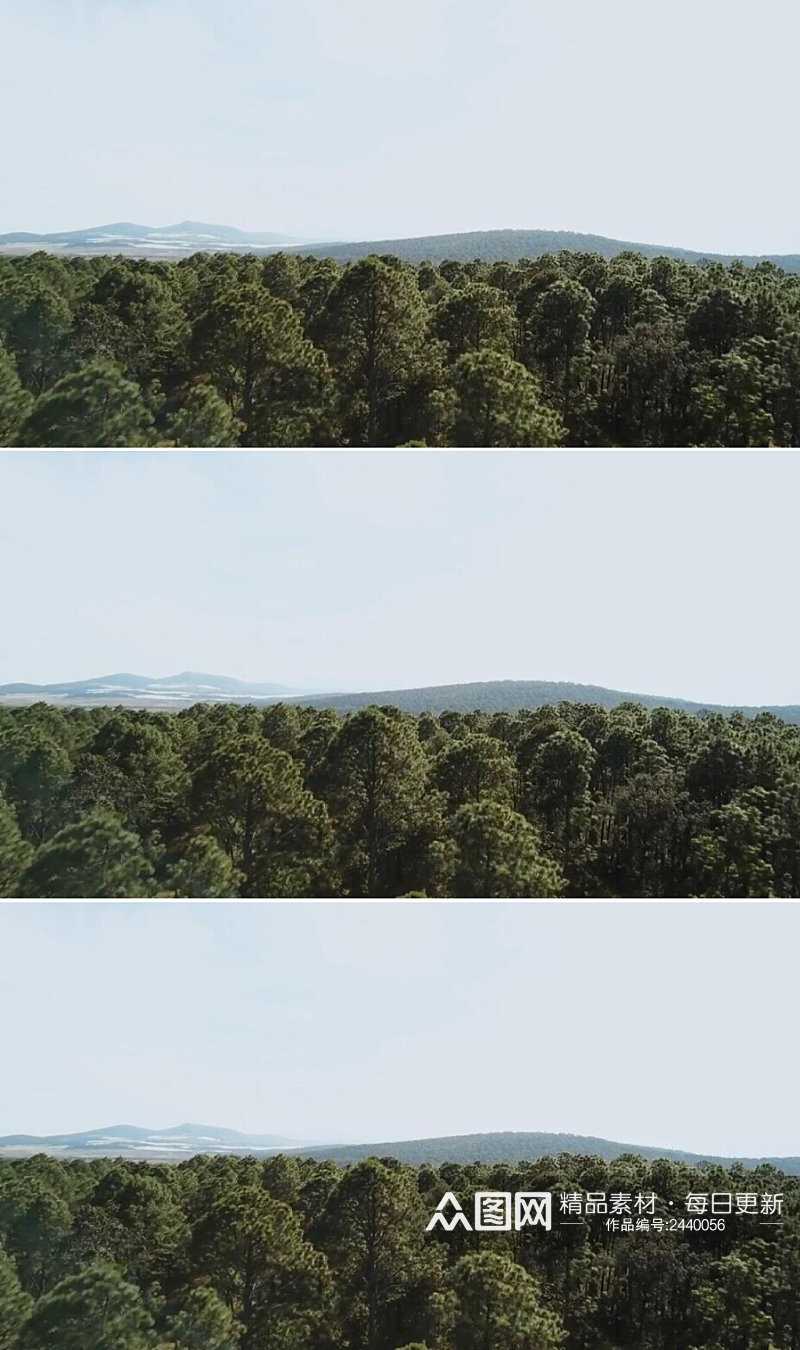 航拍茂密森林山脉实拍 风景视频素材