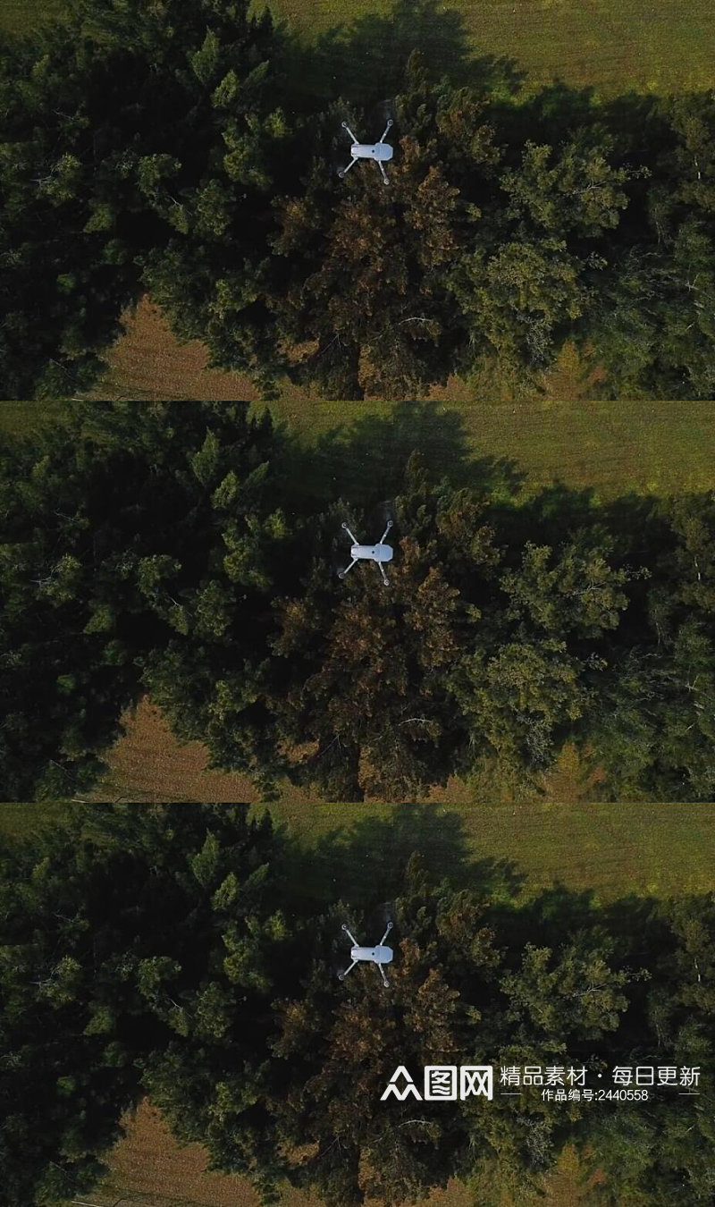 无人机飞过森林田野实拍视频素材