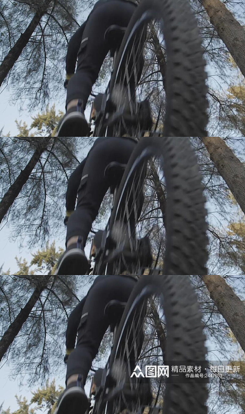 低角度拍摄森林里骑自行车运动实拍视频素材
