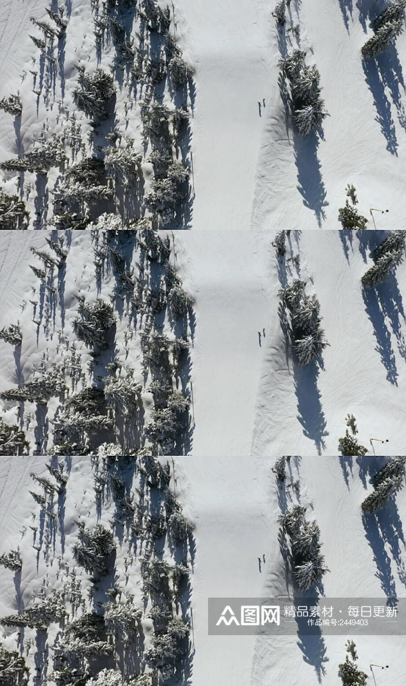 航拍在雪山松林上滑雪运动实拍视频素材