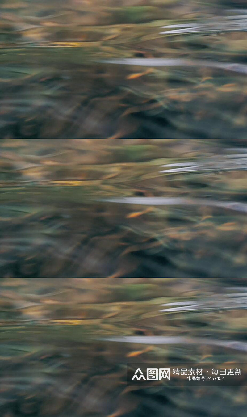 水面森林倒影波浪实拍视频素材