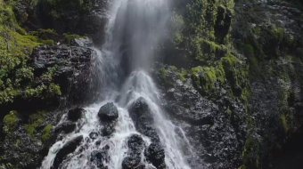温带森林中黑色岩石上的瀑布美景实拍 风景视频-众图网