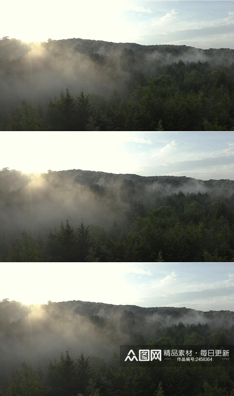 航拍山间云雾覆盖的森林实拍视频素材