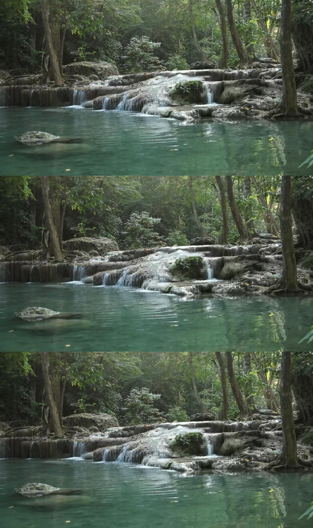 森林溪流中的瀑布实拍视频素材