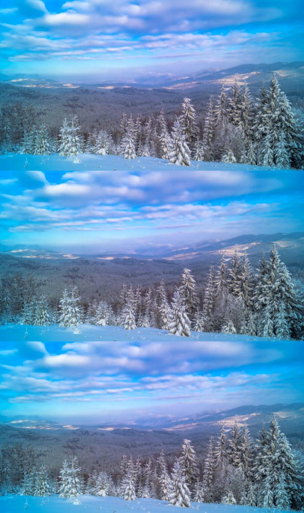 冬季雪山森林自然美景实拍