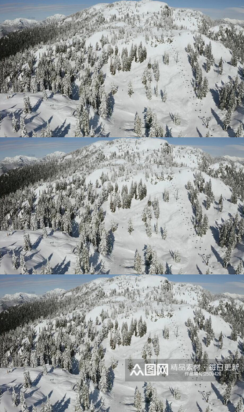 航拍雪山松树林的全景实拍视频 风景视频素材