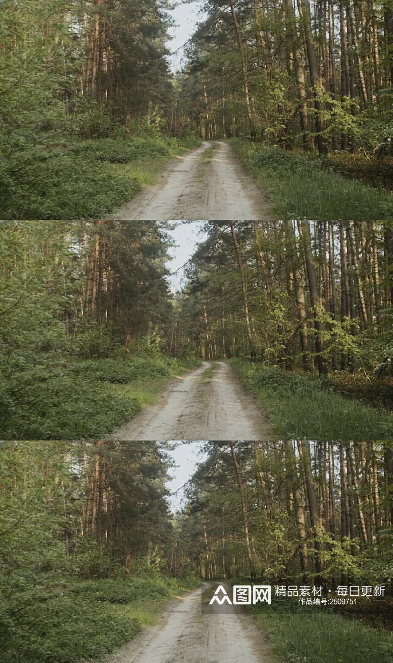 森林中的小路实拍视频素材