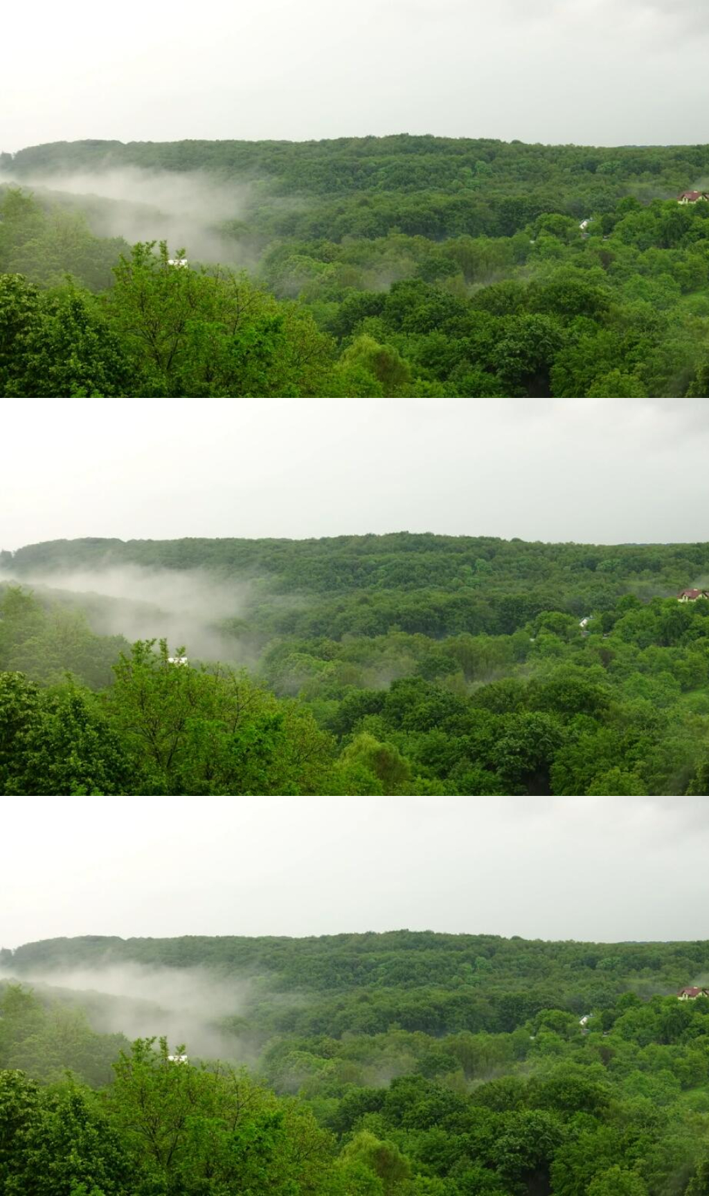 森林上空的云霧實(shí)拍視頻 風(fēng)景視頻素材