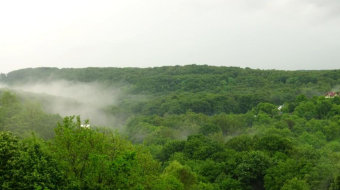 森林上空的云雾实拍视频 风景视频-众图网