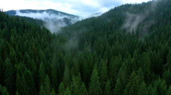 航拍山脉松林云雾美景实拍视频-众图网