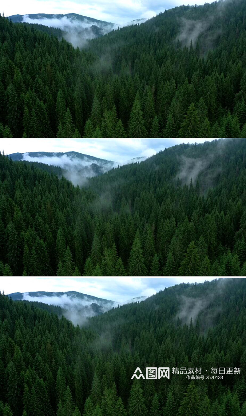 航拍山脉松林云雾美景实拍视频素材