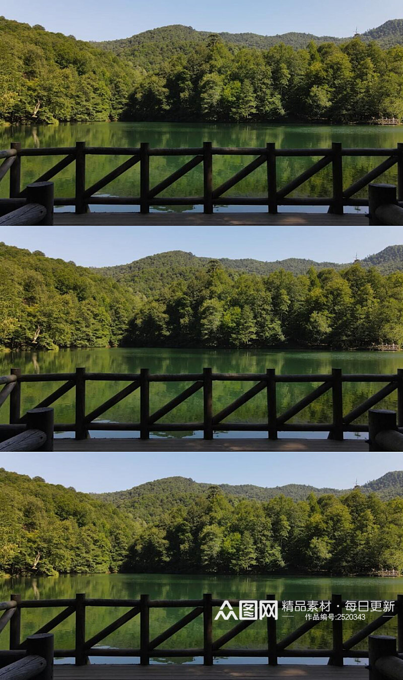 森林里的湖泊美景实拍视频 风景视频素材