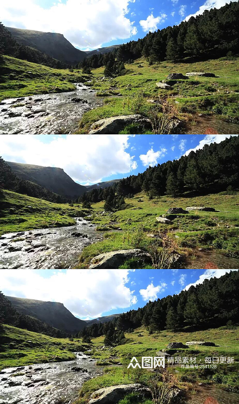 蓝天白云下的森林小河溪流实拍视频素材