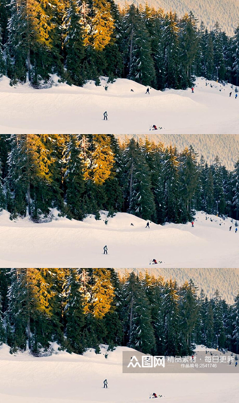 冬季森林雪山上的滑雪运动实拍视频素材