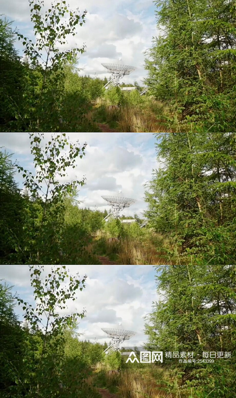 树林里远处的通信天线实拍视频素材
