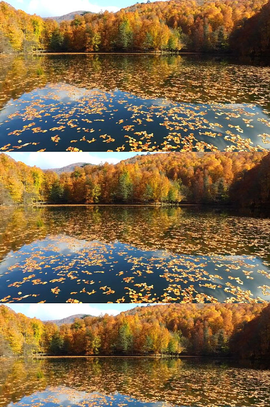 秋天森林湖泊落叶美景风景实拍视频-众图网