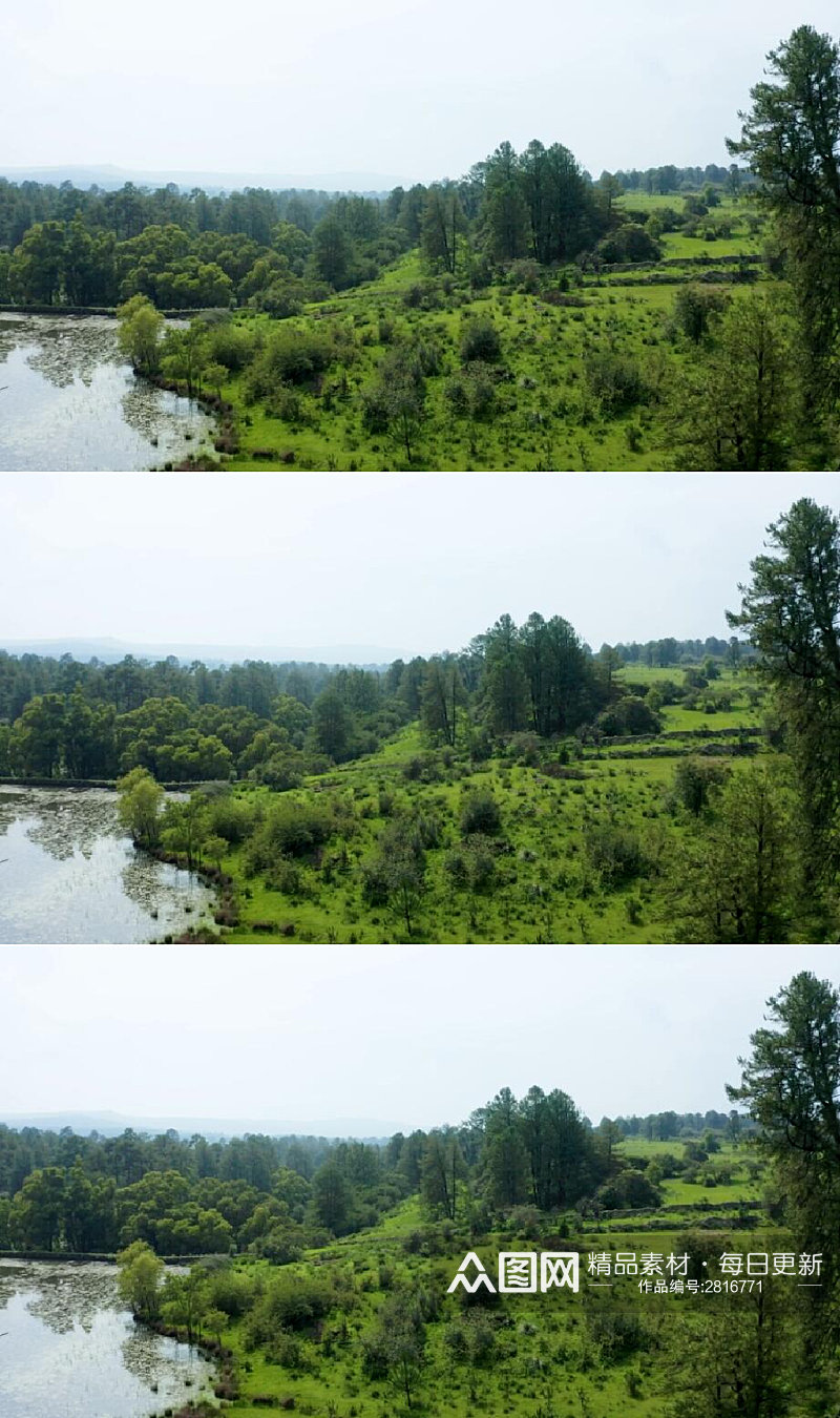 航拍森林湖泊和草地美景实拍视频素材