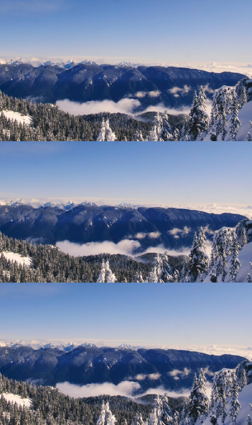 松树覆盖的雪山山脉美景 实拍 风景视频素材