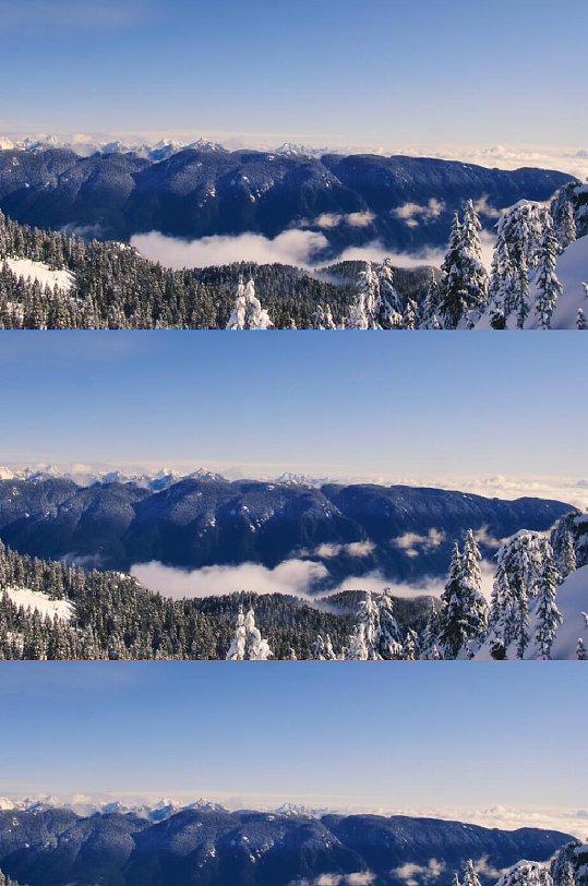 松树覆盖的雪山山脉美景 实拍 风景视频-众图网