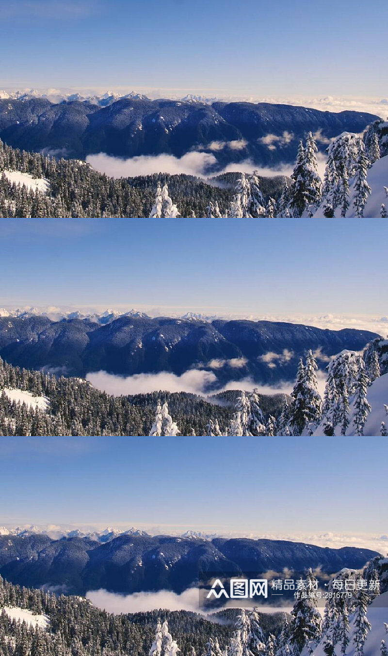 松树覆盖的雪山山脉美景 实拍 风景视频素材