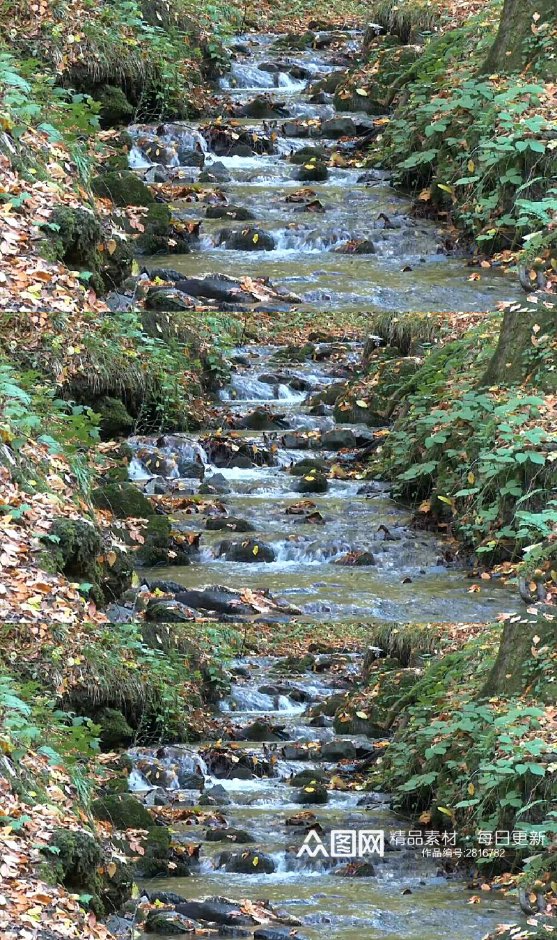 秋天树林中的溪流实拍视频 风景视频素材
