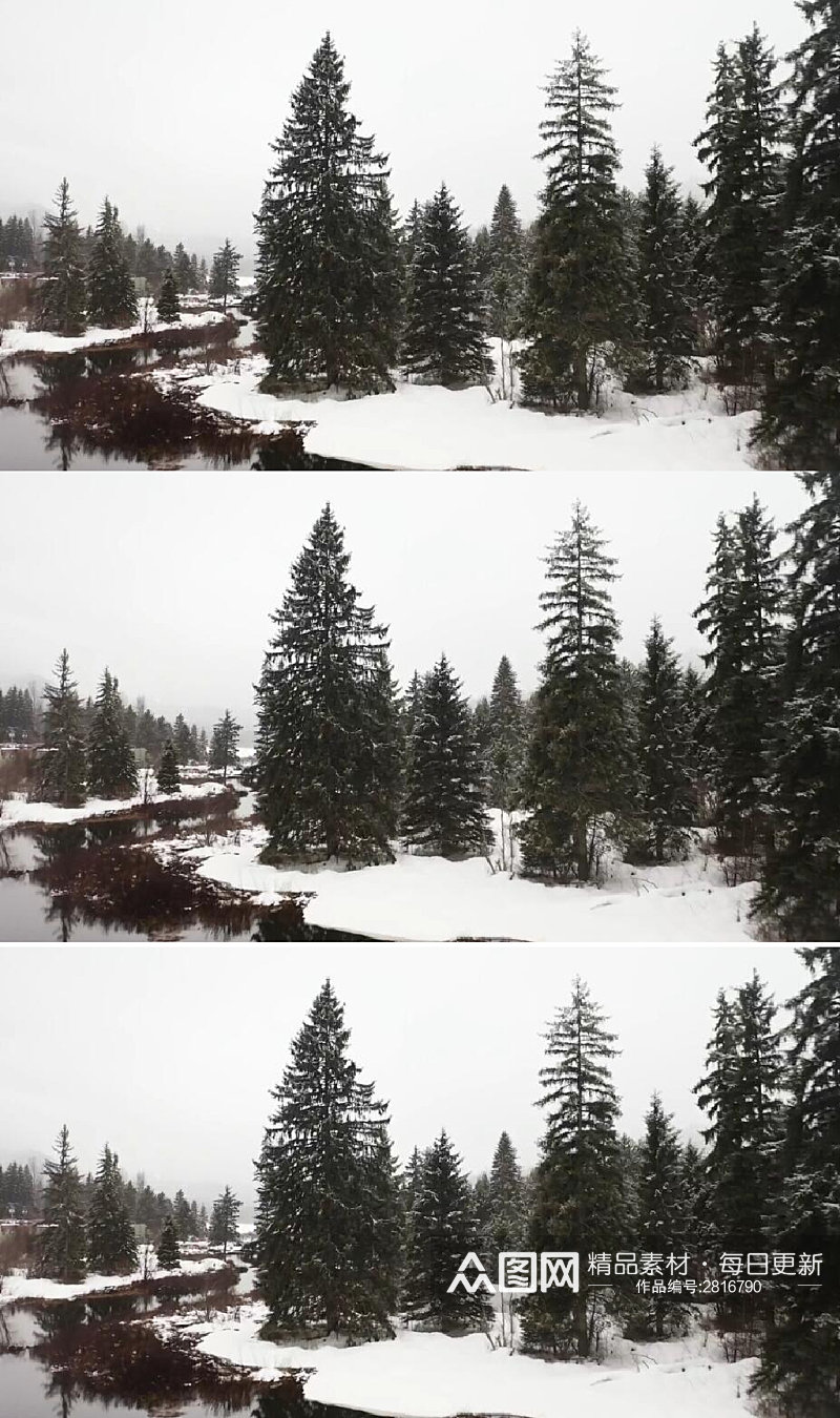 航拍冬季加拿大的松树林和湖泊实拍视频素材