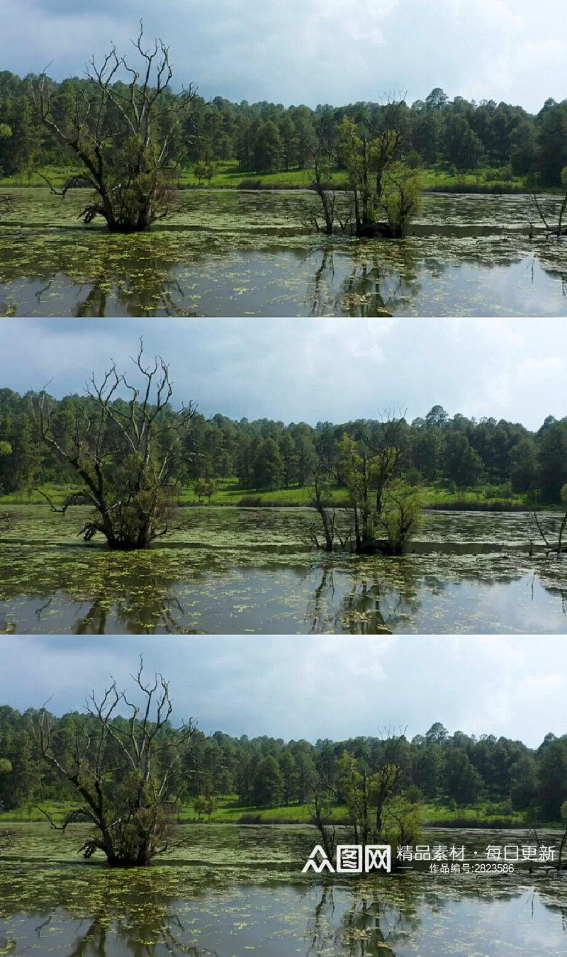 航拍森林边上的湖泊美景实拍视频素材