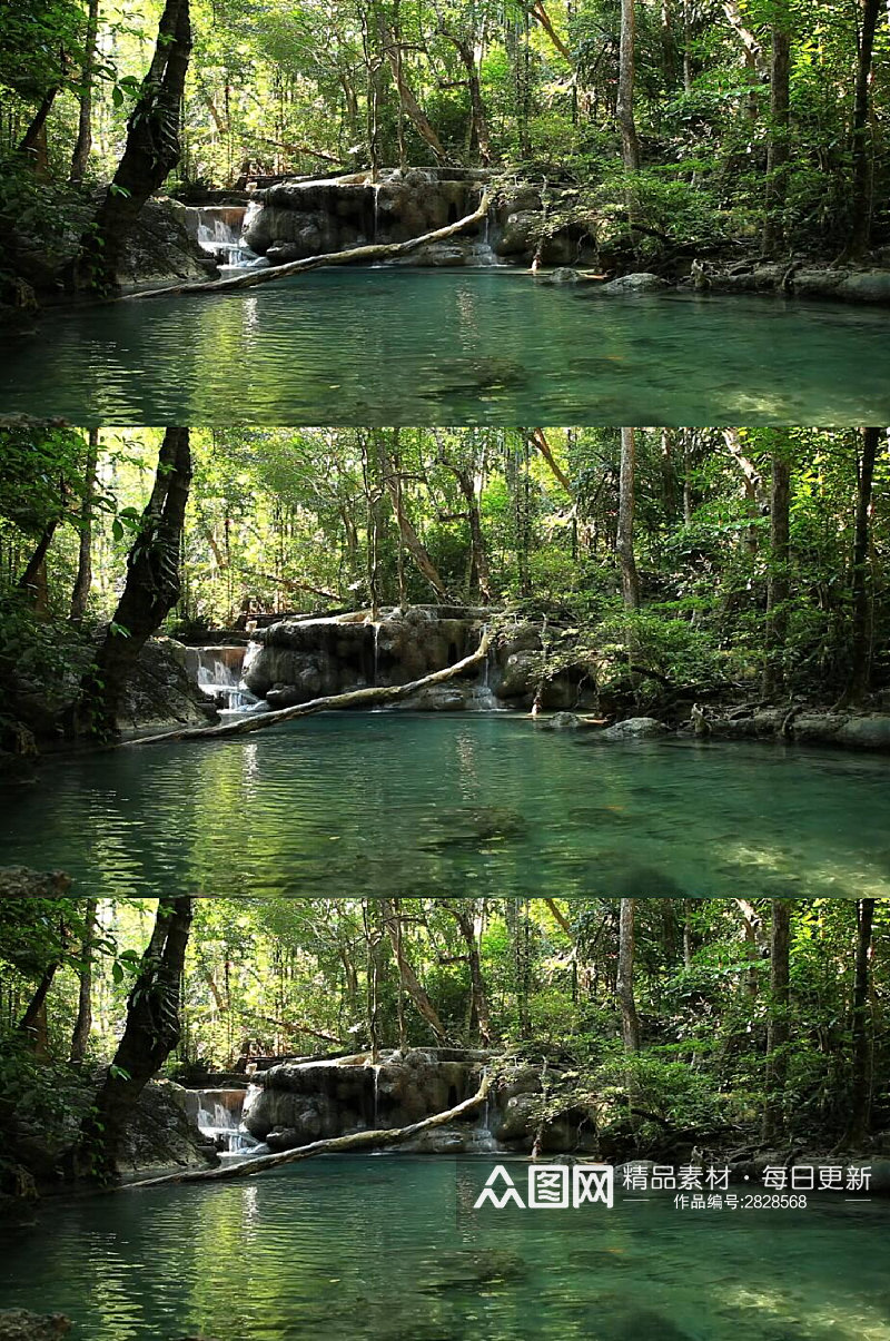 森林里的河流瀑布实拍视频素材