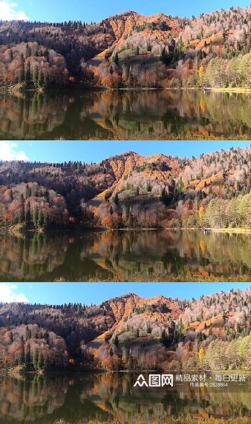 秋天森林里美丽的湖泊美景实拍视频素材
