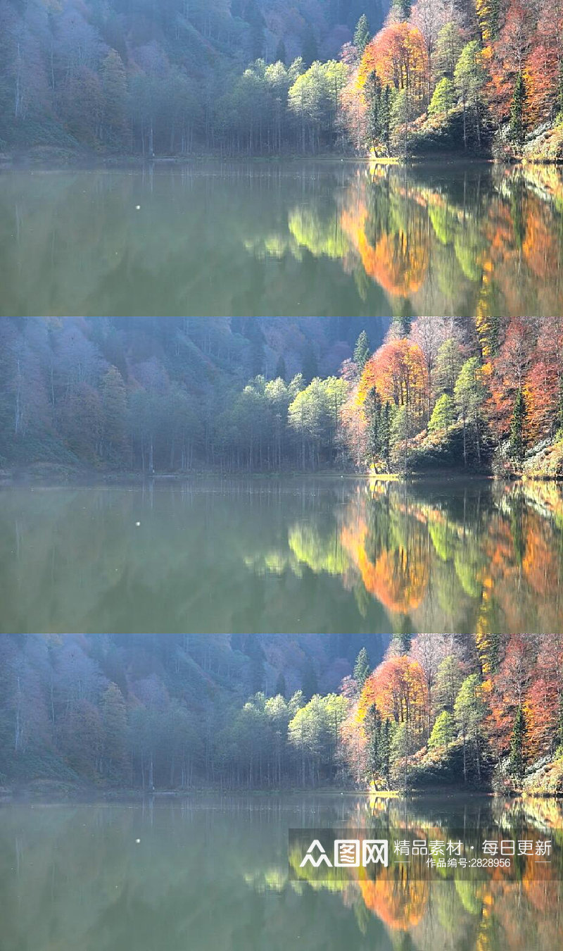 秋天湖边的森林美景实拍视频素材