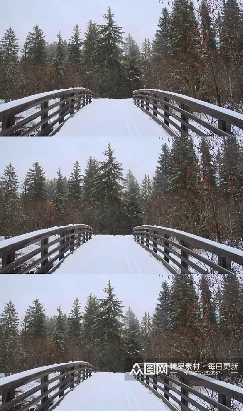 森林中的大雪桥覆盖实拍视频素材
